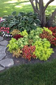 Shade Garden 9 Cheap Landscaping Ideas Backyard Landscaping Designs Front Yard Landscaping Design