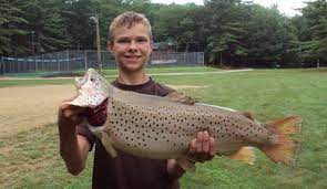 Maybe you would like to learn more about one of these? Trout Fishing New Hampshire Fish And Game Department