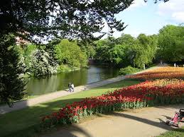 Windmill Rose Garden Bremen Bremen Bremerhaven Planet Erde
