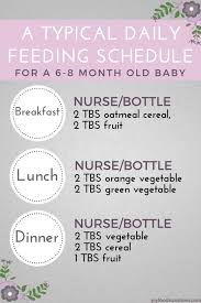 Solid Food Baby Online Charts Collection