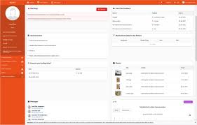 Design, implementation and usability analysis of patient empowerment in  ADLIFE project via patient reported outcome measures and shared decision  making