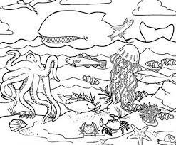 This coloring game will give you creativity, a form of animals that will get to know the different types of animals. Coloring Pages Of Sea Creatures