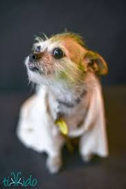 Pin On Tikkido All Things From Tikkido Com