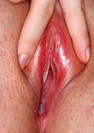 FOTO MEMEK PERAWAN - PUTRI77 | Kumpulan cerita dewasa terlengkap