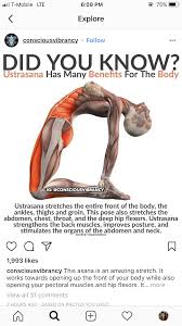 Yoga Anatomy Illustration Muscle Info Graphics Headstand Get Your Free Yoga Videos Poses On Liayoga Com Yoga Anatomy How To Do Yoga Yoga Benefits