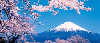 Japan Rail Pass Japan Travel Travel Japan Cheap Japan Tourism