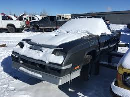 Image result for Radiant Silver 1984 Dodge