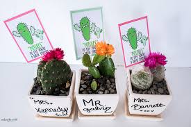 Every single one of them. Cactus Teacher Gift Free Printable Tags