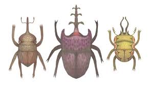 E N T O M O L O G Y By V L A D I M I R Via Behance Ilustracao Natureza