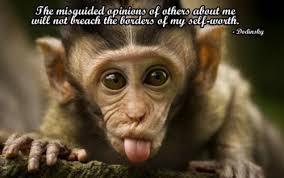 How do monkeys get down the stairs? Funny Monkey Quotes Quotesgram