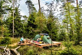 Located in the heart of the endless mountains of pennsylvania, shore forest campground is the perfect destination for your family camping vacation! Trekking Sites In The Eifel Nature Holidays In The Eifel