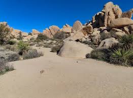 From there use the map on page 14. Hike The Hidden Valley Trail In Joshua Tree National Park Roadtripping California