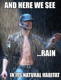 Themilkdrinker Aple Is Wanf K Pop Meme Day 3 Rain Kpop Kpop Memes Kpop Funny