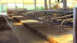 Isbir Ziraat Tanitim Filmi Yeni Youtube