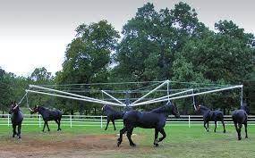 Caminador De Caballos Automatico Abierto Horse Walker Horses Horse Barn Plans