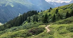 Hier erhalten sie livebilder von unseren livecam stationen. Rinerhorn Ser Bergfex Wanderung Tour Graubunden
