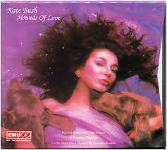 They are chased and end up dancing at a party. Kate Bush Hounds Of Love 1997 Slipcase Cd Discogs