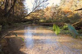 Schon Wieder Senne Diesmal Die Moosheide Paderborner Waldschrat Teutoburger Wald Ausflug Heide