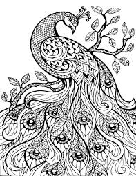 You can use our amazing online tool to color and edit the following advanced color by number coloring pages. Free Printable Coloring Pages For Adults Advanced All Round Hobby