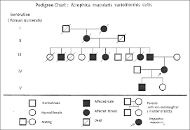 62 Uncommon How Do You Make A Pedigree Chart