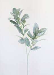 Maybe you would like to learn more about one of these? Artificial Lambs Ear Wedding Flowers At Afloral Com
