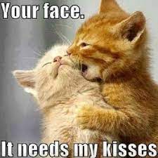 I love you this much meme. 20 Very Sweet And Funny I Love You This Much Memes Sayingimages Com