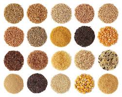 how much cooked grain will 1 cup of dry grains yield and how