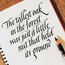 Typography Quotes For Your Inspiration Calligraphy Words Calligraphy Quotes Typography Quotes