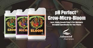 ph perfect grow micro bloom advanced nutrients