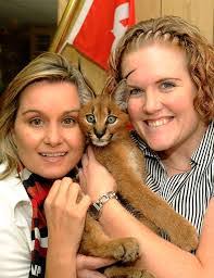 Donovan Everitt's Instagram, Twitter & Facebook