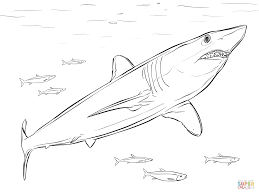 Coloriage Requin Mako Coloriages A Imprimer Gratuits