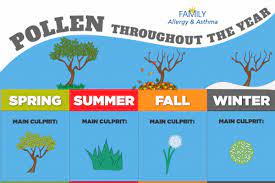 What Months Are Allergy Season Allergy Asthma Sinus Center P C