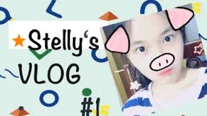 stelly-哔哩哔哩_Bilibili