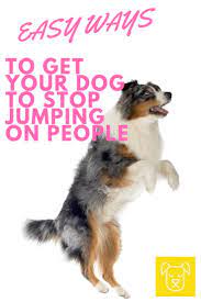 Jun 10, 2017 · you may need to step on the leash to keep your dog from jumping up. The Easiest Way To Teach Your Dog Not To Jump On People Dog Training Easiest Dogs To Train Dog Training Tips