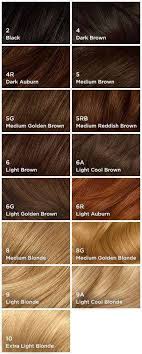 Blonde Maybe Brown Hair Colors Clairol Hair Color