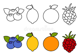 Baby coloring book for kids, known as coloring book for kids on the google play store, is designed to help toddlers explore their creative side as well as develop fine motor skills and logic. Coloring Book With Fruits Coloring For Kids Stock Vector Illustration Of Health Orange 141276381