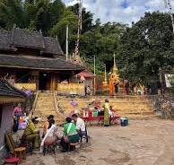 Jingmai Mountain (UNESCO) | Old Tea Forests and Dai Villages ...