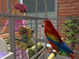 Pets, the two animals must get along with each other. Small Pet The Sims Wiki Fandom