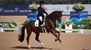 725 likes · 115 talking about this. Hot Competition Expected Among Para Dressage Riders At Tokyo 2020 Horsetalk Co Nz