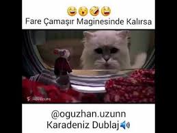 Mor Sican Camasir Makinesinde Karadeniz Dublaj Youtube Komik Hayvanlar Komik Hayvanlar