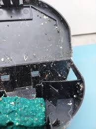 Ernst Pest Solutions