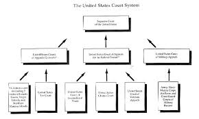 Criminal Justice System Government Structure Lawfirms