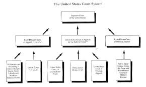 criminal justice system government structure lawfirms