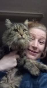 Anyone looking for this little guy? He's been staying in our heated cat  house and eating here for a month or so. Not super friendly but not feral I  don't think. In