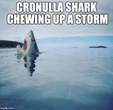 At memesmonkey.com find thousands of memes categorized into thousands of categories. Cronulla Sharks Memes