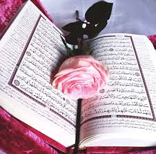 pin by noor on cute girl pic quran book quran islamic wallpaper