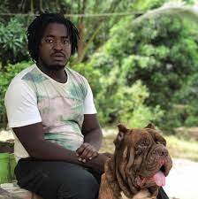 Boerboels Kenya Home Facebook