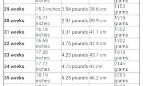 68 Studious Baby Weight Chart For 6 Months