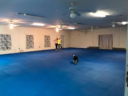 Dog Agility Mats And Flooring Flyball Mats Dog Agility Foam Mats Agile