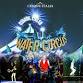 Cirque Italia: Water Circus event image